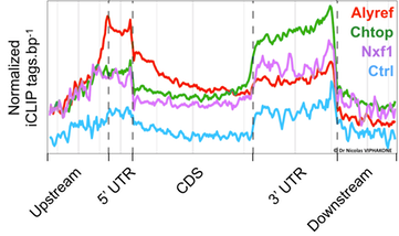 1 iCLIP TREX profiles